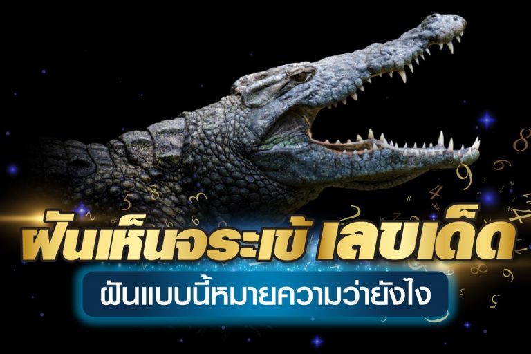 ฝันเห็นจระเข้-เลขเด็ด-ฝันแบบนี้หมายความว่ายังไง