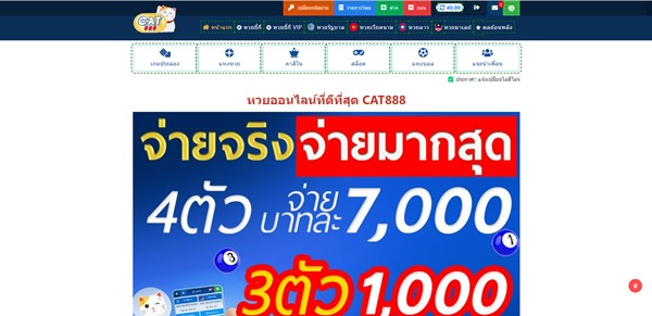 Cat888 เว็บหวยออนไลน์อัตราจ่ายสูง พร้อมเกมเดิมพันครบจบในเว็บเดียว