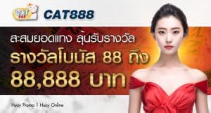 cat888 เว็บหวยออนไลน์