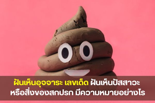 ฝันเห็นอุจจาระ เลขเด็ด ความฝันสุดอี๋ จะมีคำทำนายว่าอะไรบ้าง?