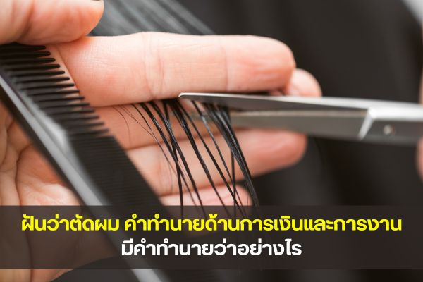 ฝันว่าตัดผม คำทำนายในด้านการเงินและการงาน มีคำทำนายว่าอย่างไร