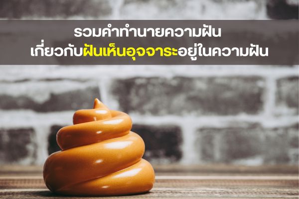 รวมคำทำนายความฝัน เกี่ยวกับฝันเห็นอุจจาระอยู่ในความฝัน