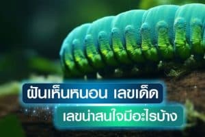 ฝันเห็นหนอน-เลขเด็ด