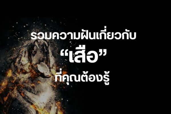 รวมความฝันเกี่ยวกับ “เสือ” ที่คุณต้องรู้