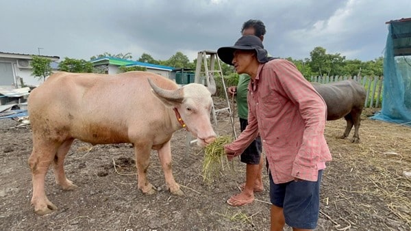 เลขเด็ดหวยวันนี้ ข่าวประจำวันที่ 29 สิงหาคม 2567 03-1