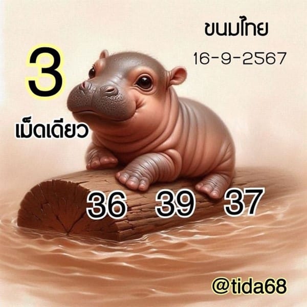 แนวทางหวยลาววันนี้ เลขเด็ดหวยลาว